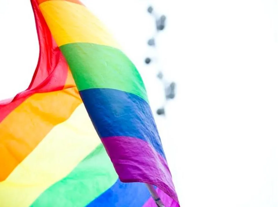 সমকামিতাকে ডিক্রিমিনালাইজ করার বিলের বিরোধিতা করবে না সরকারঃ শ্রীলঙ্কার প্রিজ