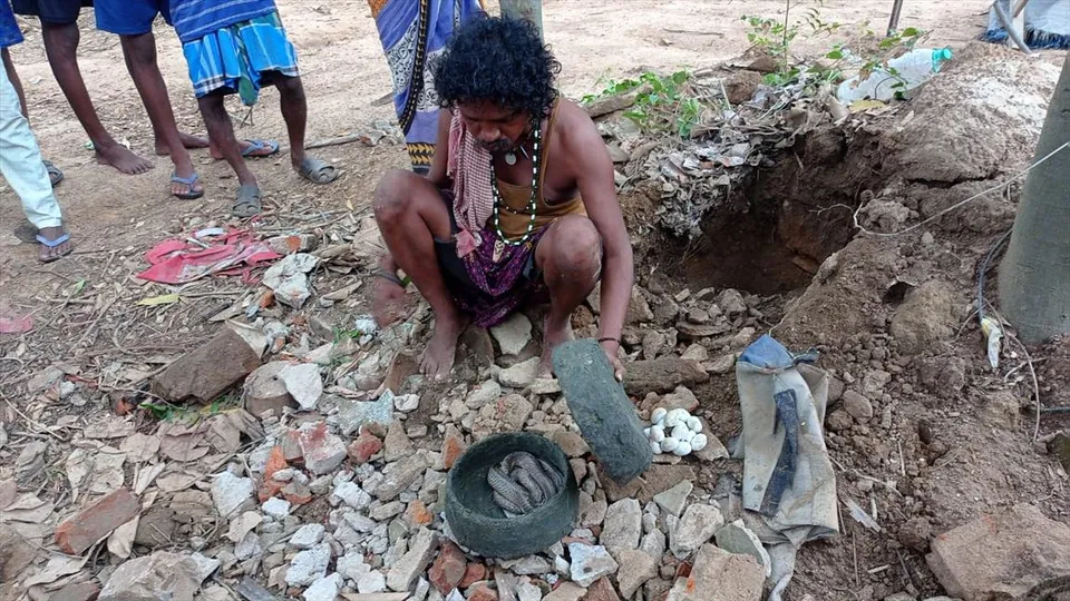 বাড়িতে দুটি গোখরো সাপ ও ১৮ টি ডিম, মেদিনীপুরে এক ব্যক্তিকে গ্রেফতার করল বন দফতর