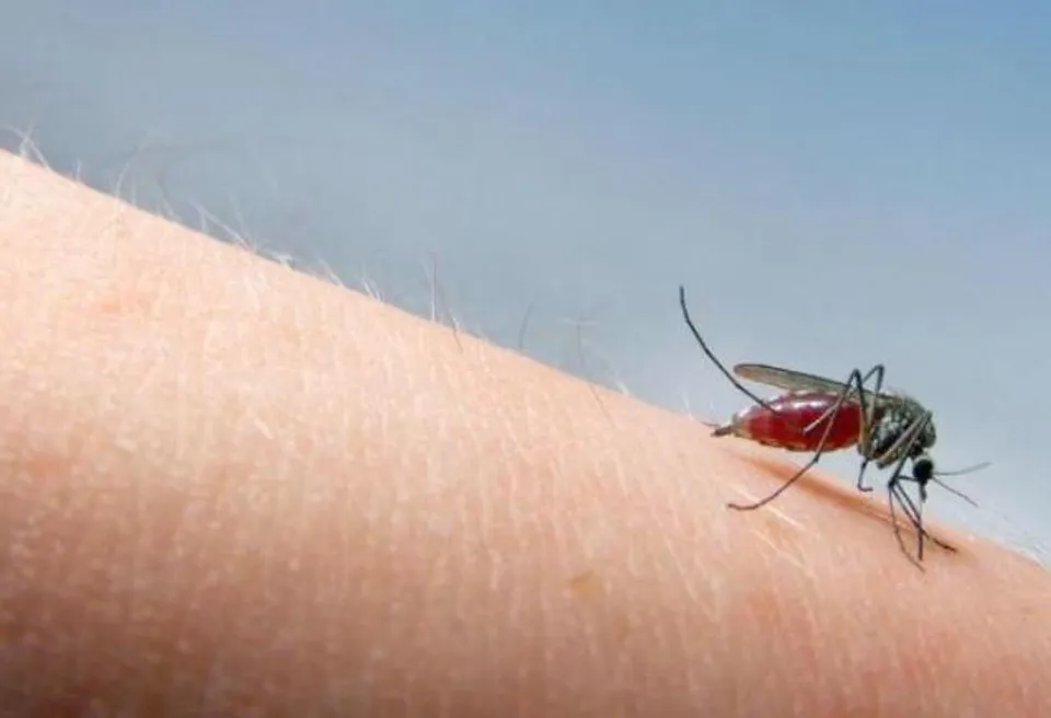 ডেঙ্গি আক্রান্ত হয়ে প্রাণ হারাল দশম শ্রেণির পড়ুয়া