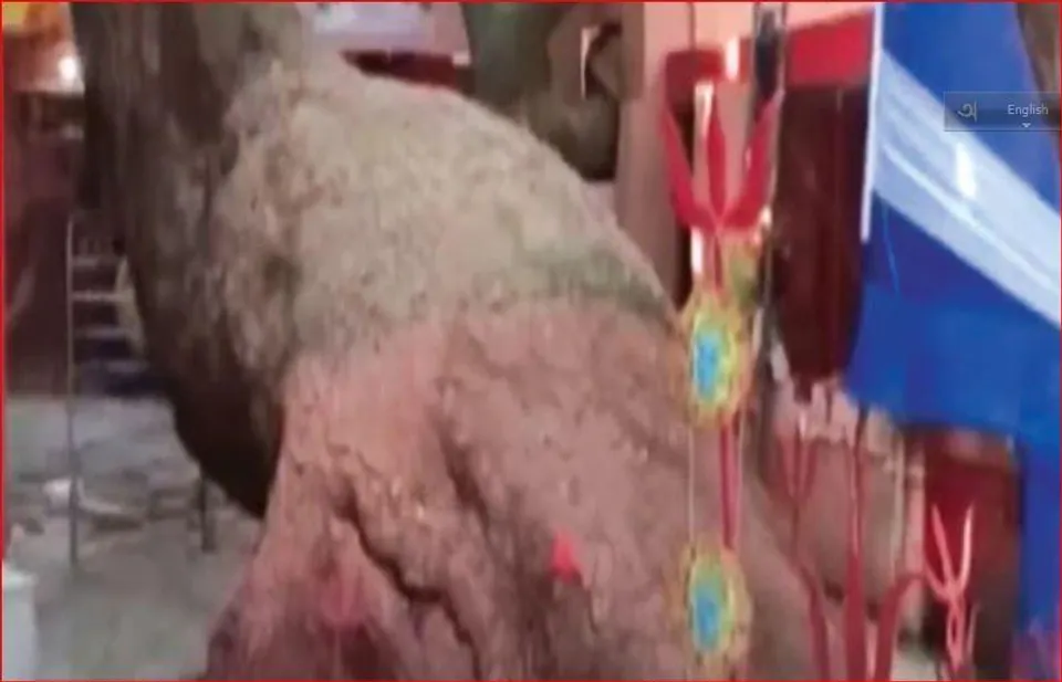 কাটোয়ায় নিমগাছকে বেনারসী পরিয়ে কালী রূপে পুজো