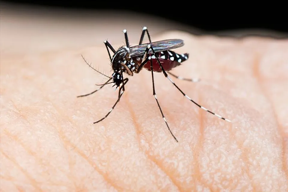 ডেঙ্গি আক্রান্ত হয়ে মৃত্যু প্রসূতির