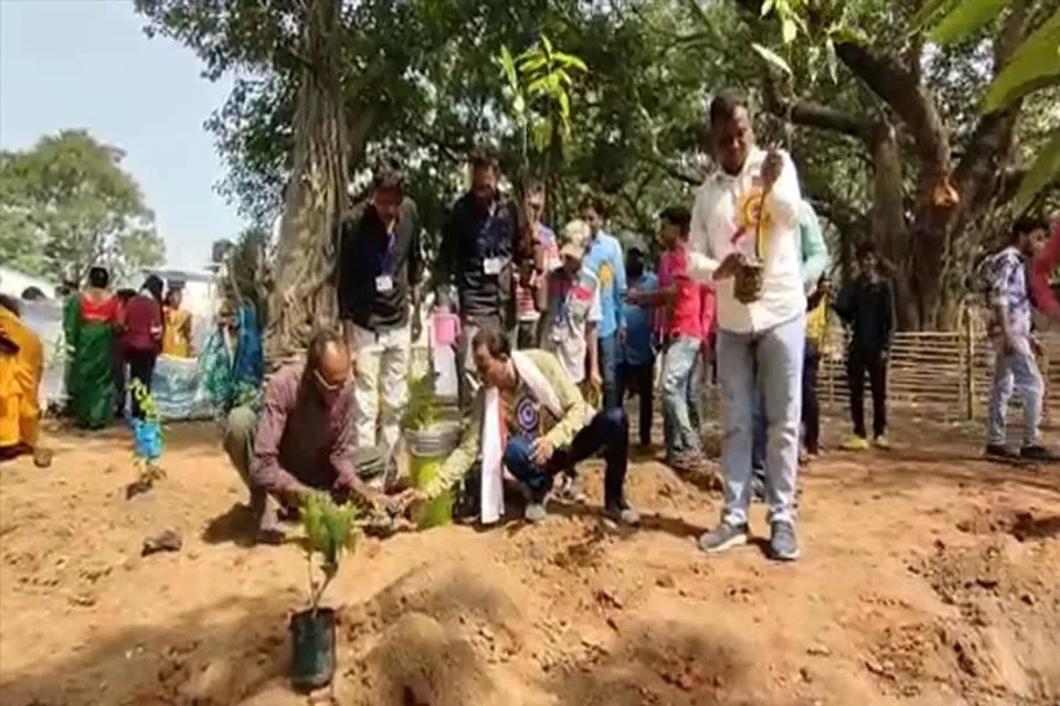 বিশ্ব পরিবেশ দিবসে বৃক্ষরোপণ করলেন তৃণমূল কর্মীরা
