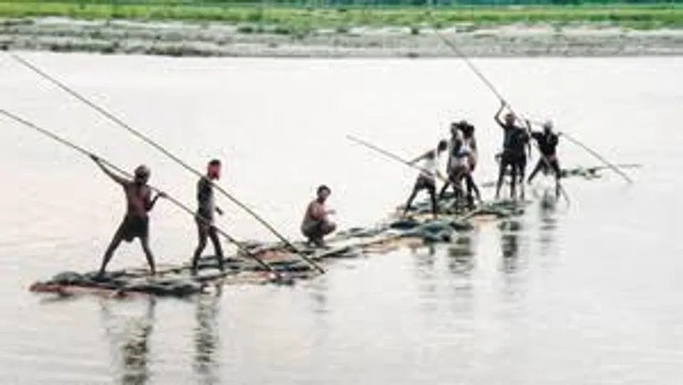 কাঠ পাচার রুখলেন বনকর্মীরা