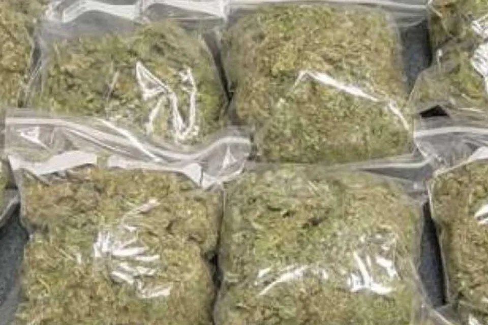 হাইওয়ে থেকে বাজেয়াপ্ত সাড়ে তিন কোটির ২৮৬ কেজি গাঁজা