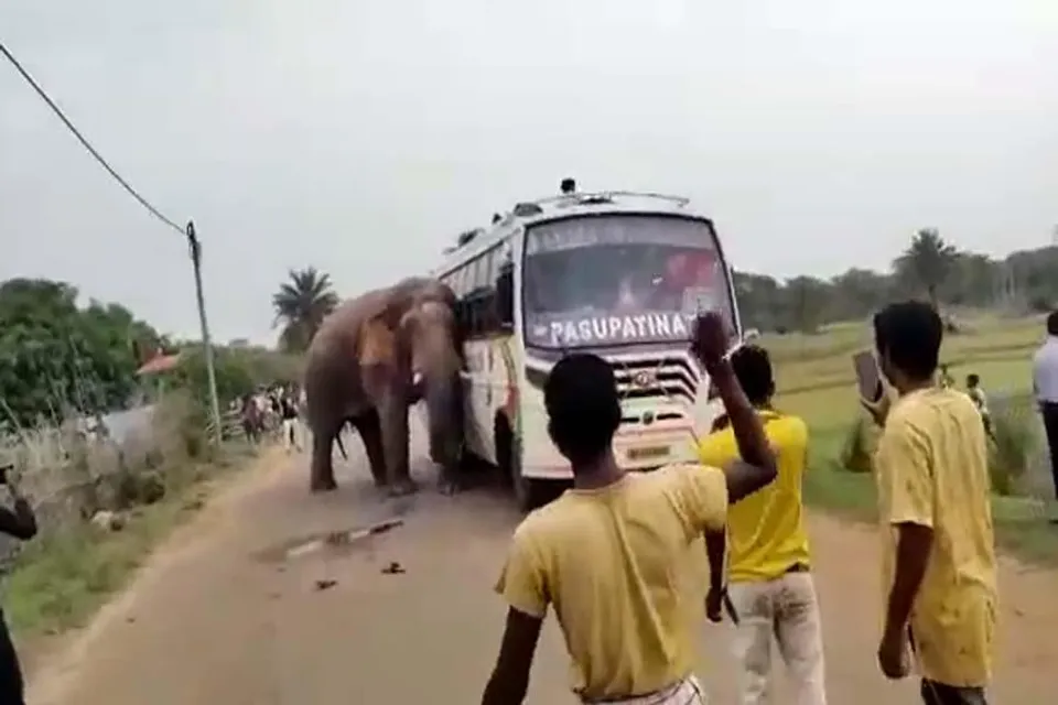 বাস আটকে তাণ্ডব চালালো হাতি