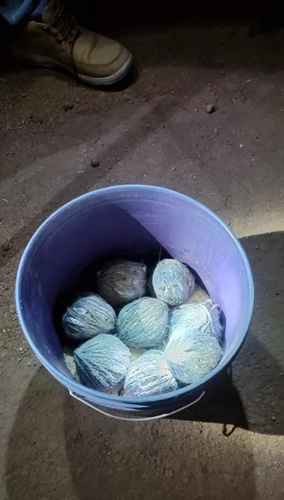 ভোটের মুখে উদ্ধার আটটি তাজা বোমা