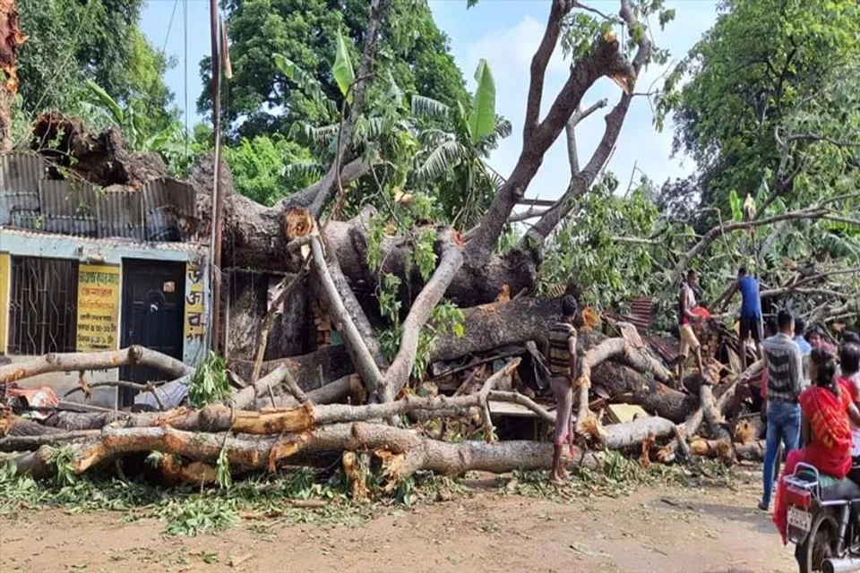 মেদিনীপুরে বিশালাকার গাছ ভেঙে পড়ল রাস্তা ও দোকানের ওপর, আহত কয়েকজন