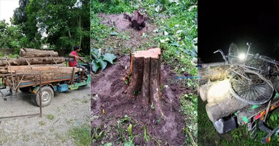 কাঠ পাচারকারীদের ধরতে গিয়ে আক্রান্ত বন কর্মীরা