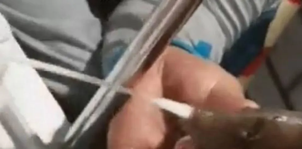 কোভিড ১৯ সংক্রমণের মোকাবিলায় সমুদ্র থেকে জালে ওঠা মাছেদের সোয়াব পরীক্ষা ফুজিয়ান প্রদেশে