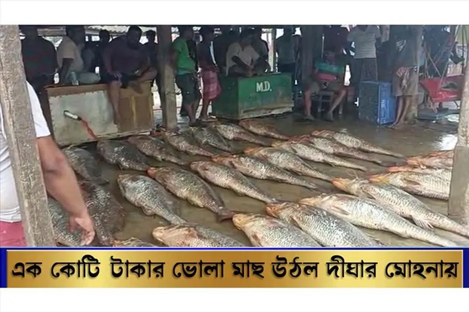 প্রায় এক কোটি টাকার ভোলা মাছ উঠল দীঘার মোহনায়