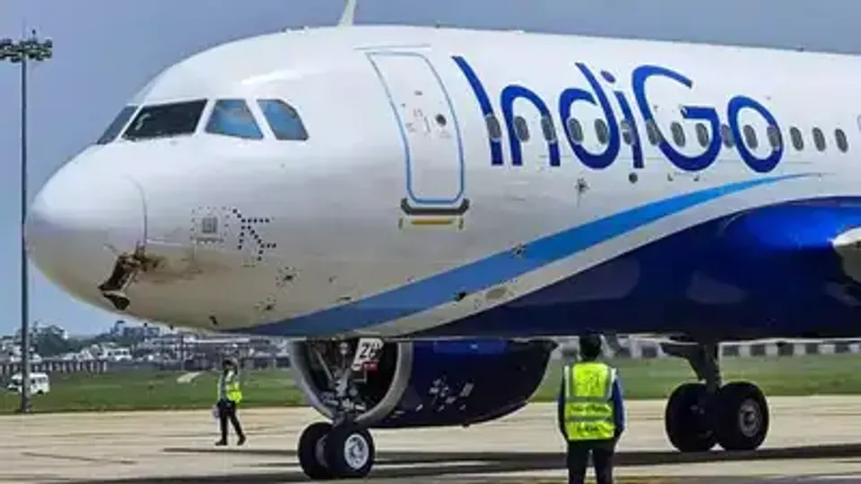 Indigo