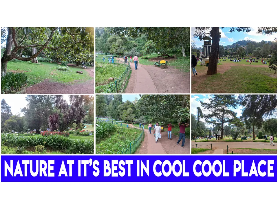 cover OOTY.jpg