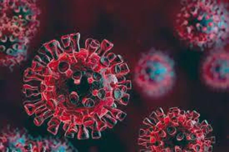 Daily corona infections have increased slightly in the last 24 hours