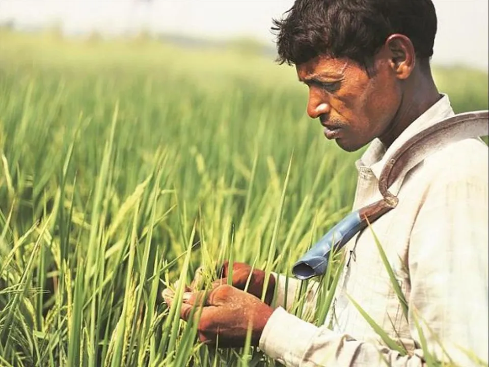 West Bengal to link-up farm and  industry