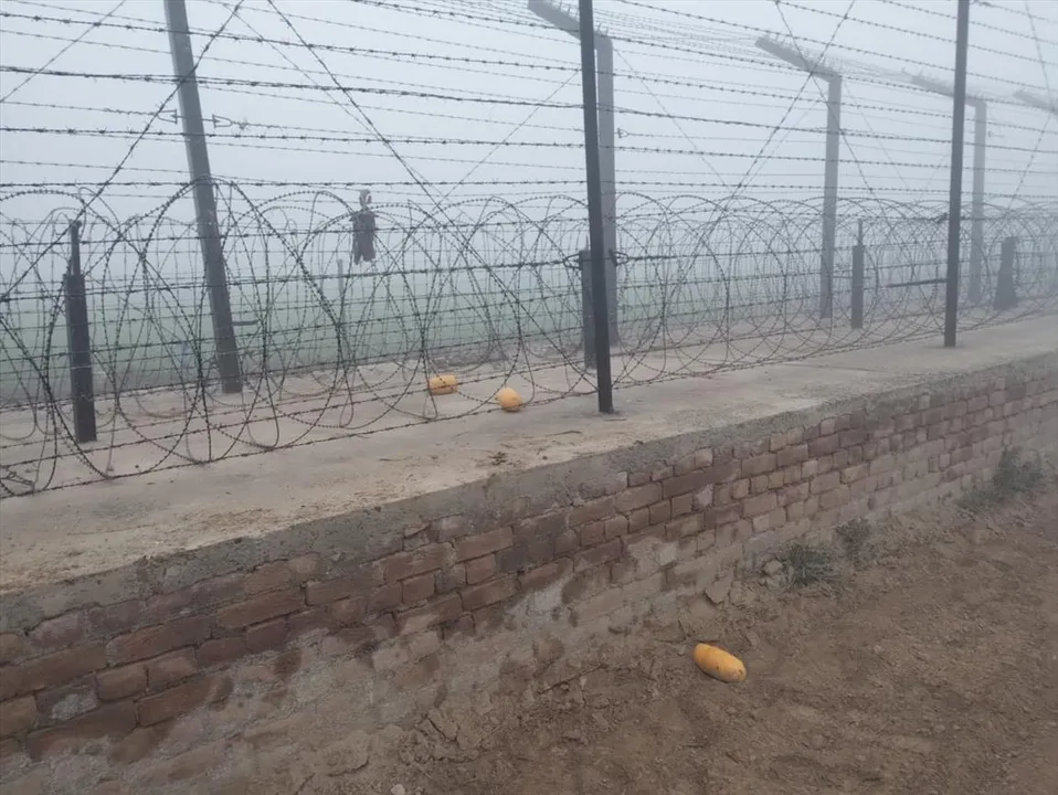 SUSPICIOUS MOVEMENT NEAR BORDER FENCE, FIRING BY BSF TROOPS