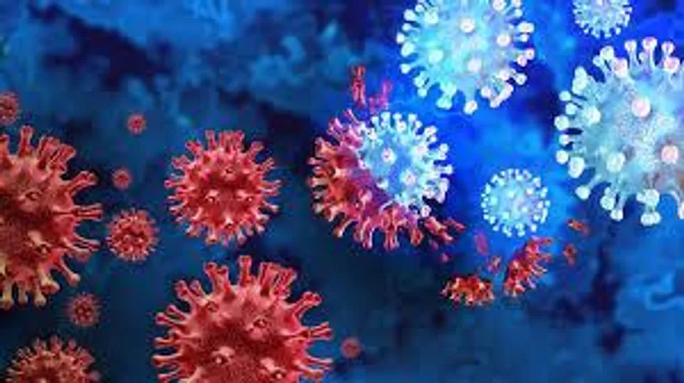 Delhi breaks record of last 8 months at infection rate