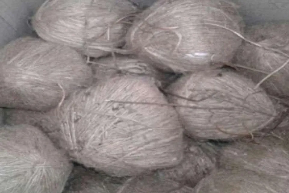 Bomb blast in Basanti