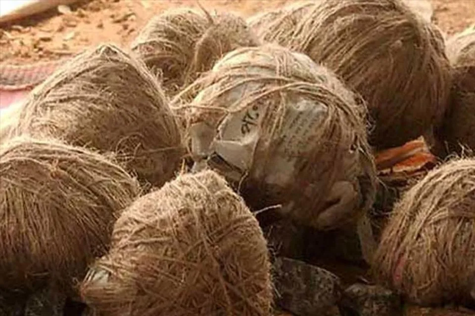 Firearms with hundreds of bombs recovered in Birbhum's village