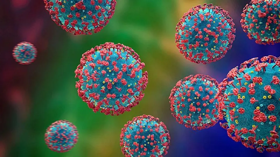 Omicrons live on the skin for 21 hours!