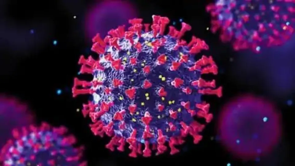 Omicron vaccine may arrive early next year​