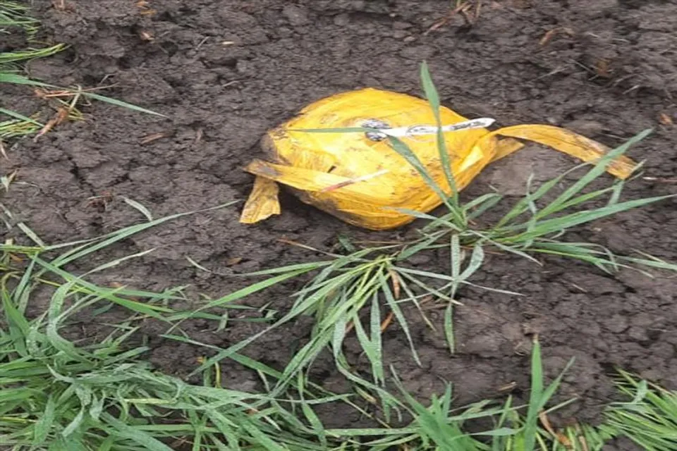 BSF Recovers a contraband item in Amritsar