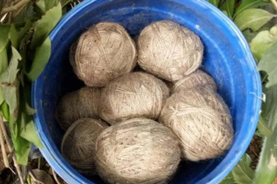 Rescue bucket full of bombs in Tarapith