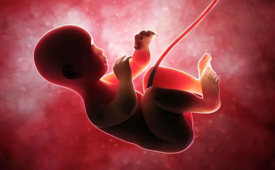 The Abortion Prohibition Bill is signed