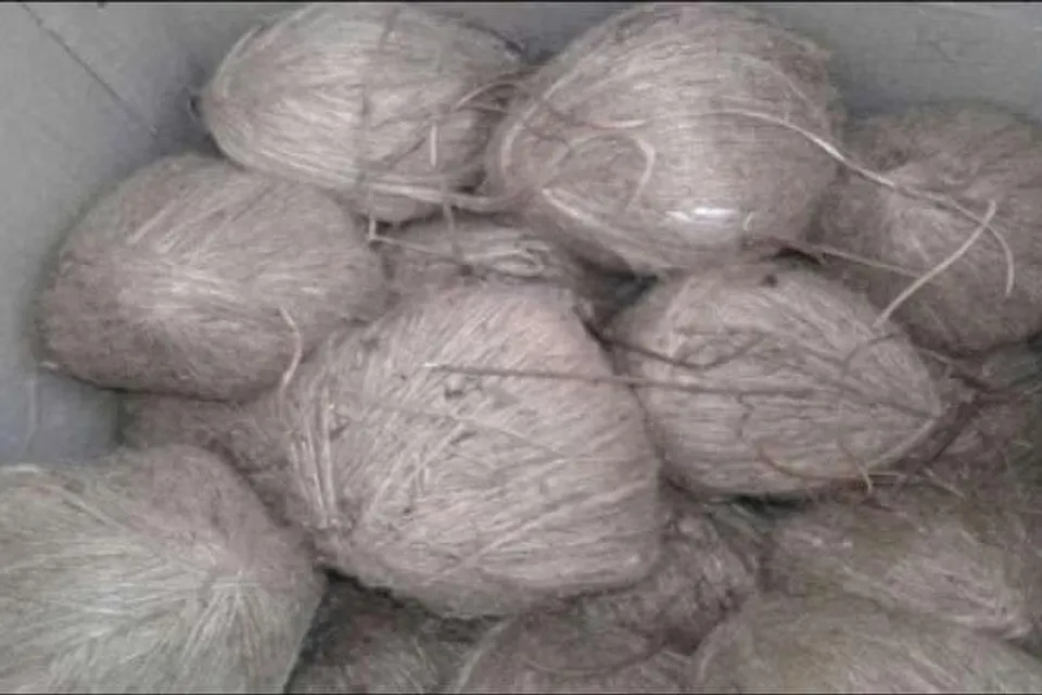 50 bombs recovered from three villages of Birbhum