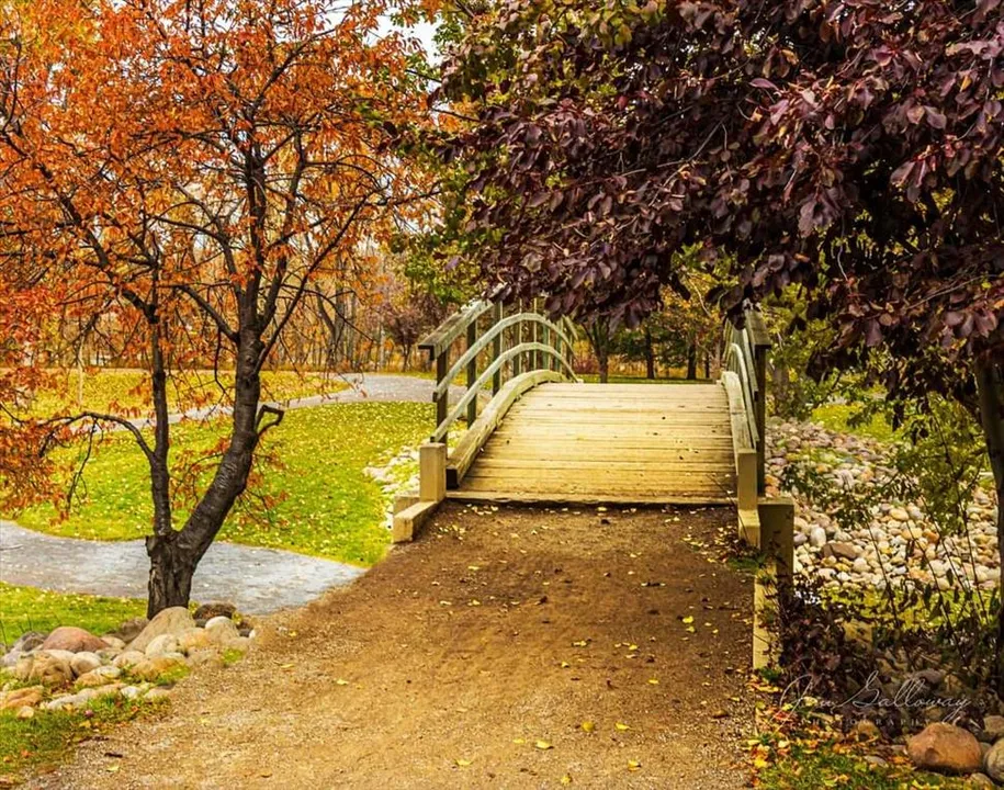 The Princess Island 🏝️ Park