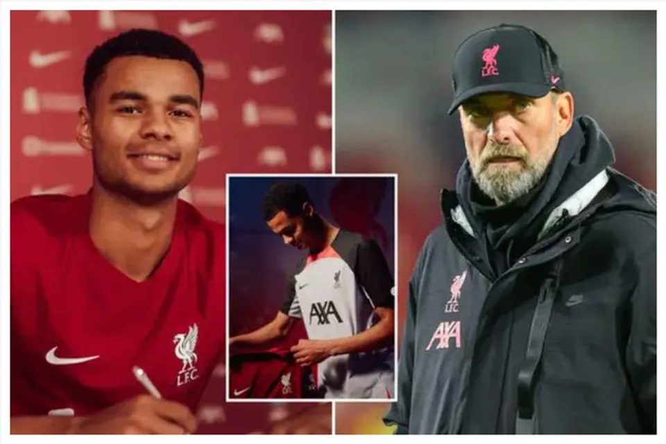 Liverpool may have to sign Cody Gakpo in place of two senior footballers in the UCL