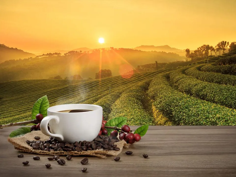 Result Update Tata Coffee