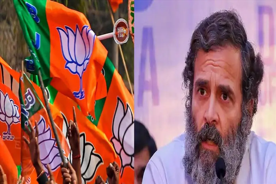 BJP MP attacked Rahul Gandhi on his comment on Indian economy