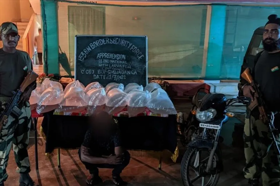 LARGEST GOLD SEIZURE BY BSF ON INDO-BANGLADESH BORDER