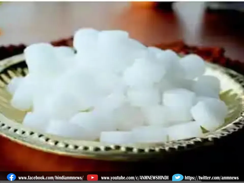 camphor