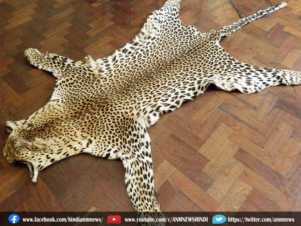 leopard skin