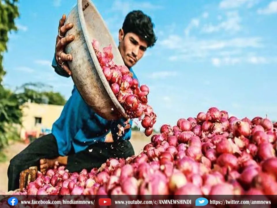 onion price