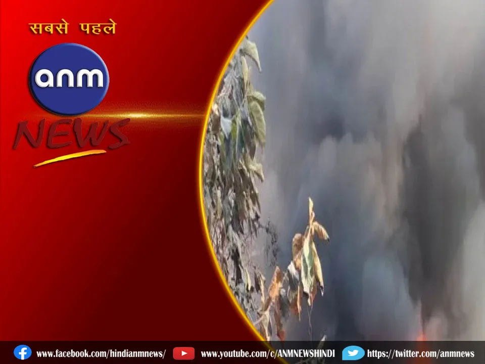 delhi