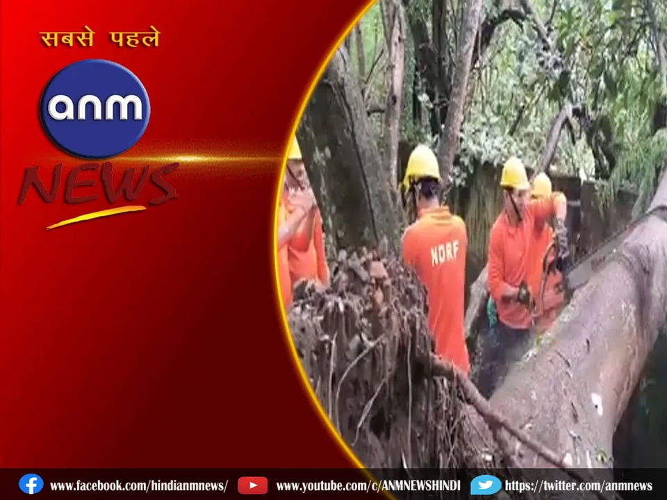 ndrf