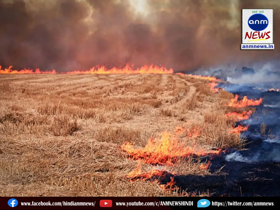 Stubble Burning