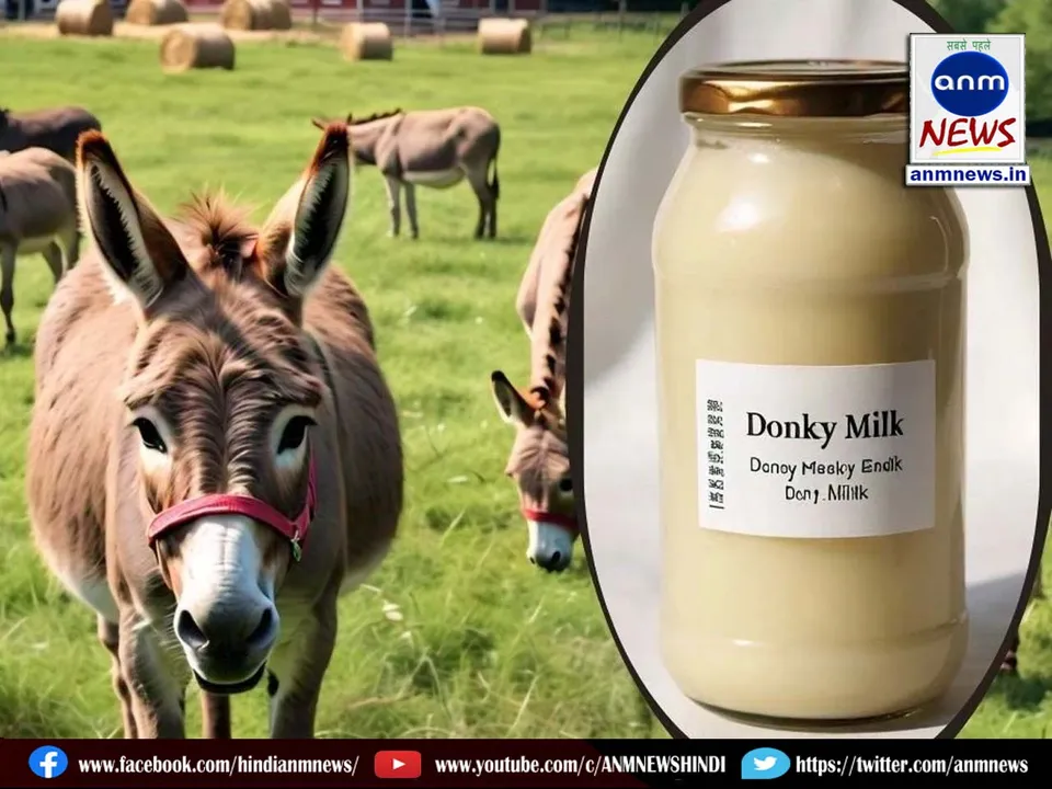 5 DONKEY MILK