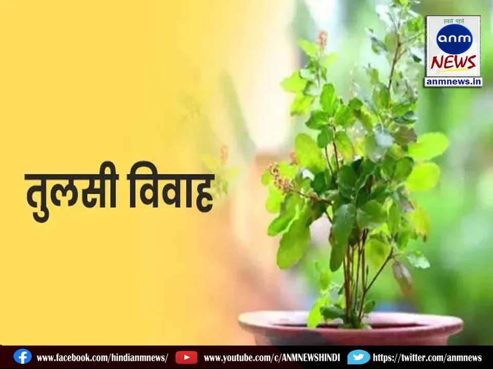 17 tulsi vivah