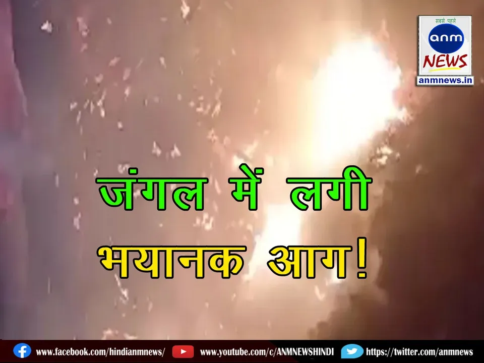 WhatsApp Image 2024-12-05 at 00.40.51