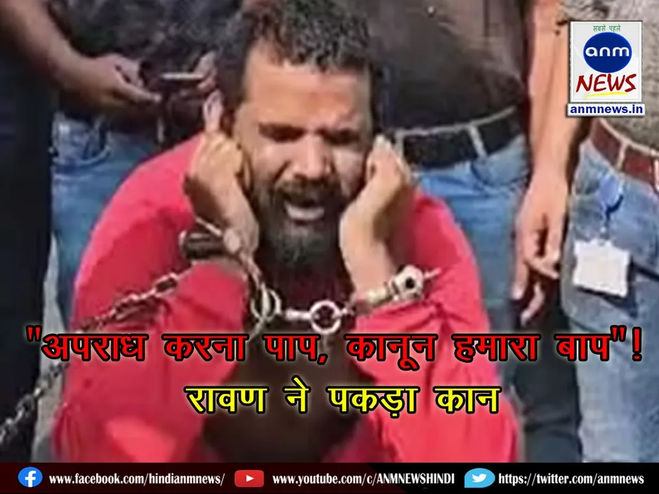 WhatsApp Image 2024-12-12 at 17.09.31