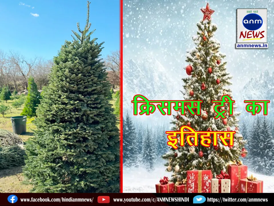 crms tree 1412