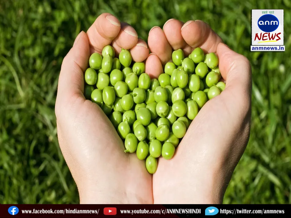 green peas