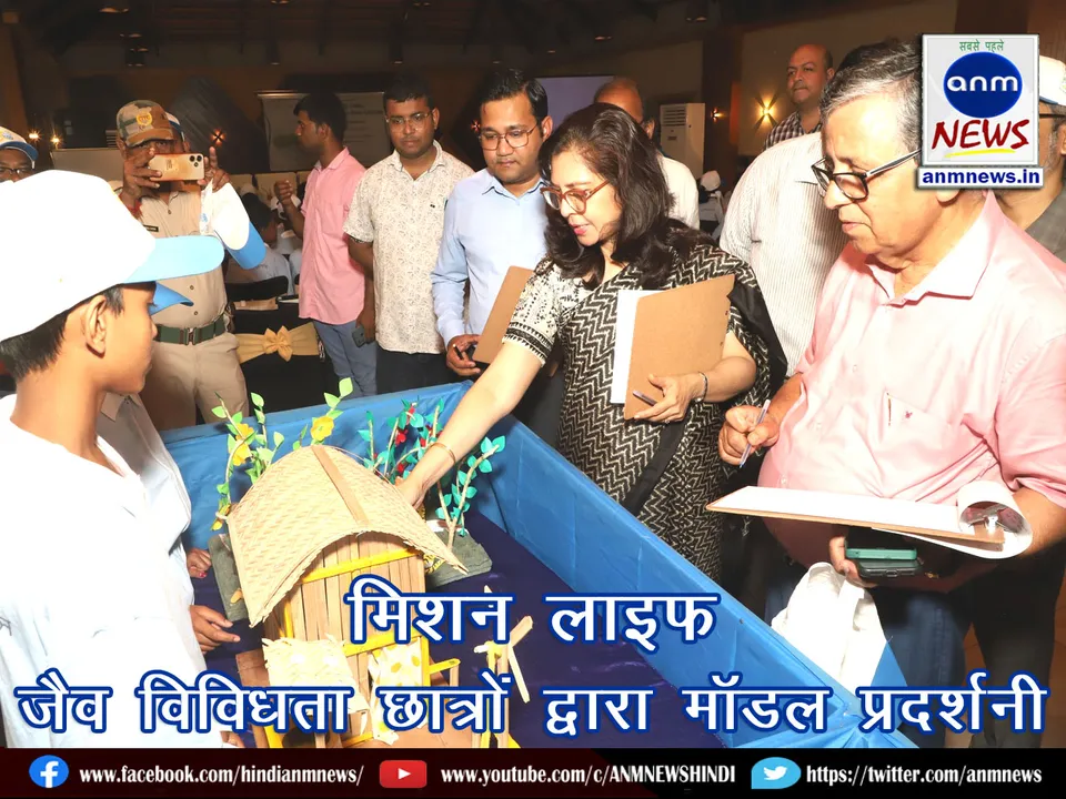 Sunderban Model