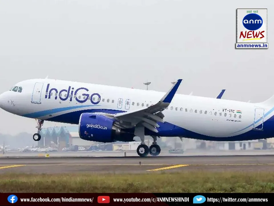 indgo