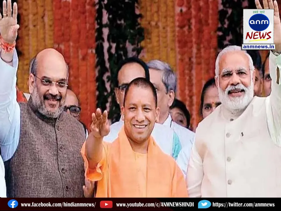 yogi