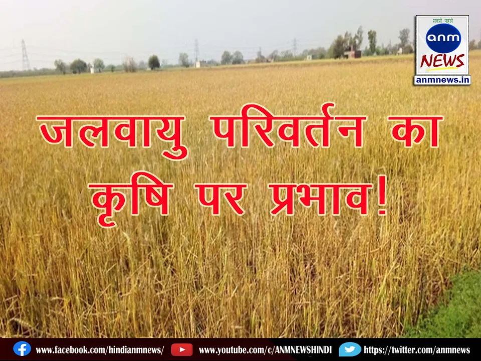 Agriculture