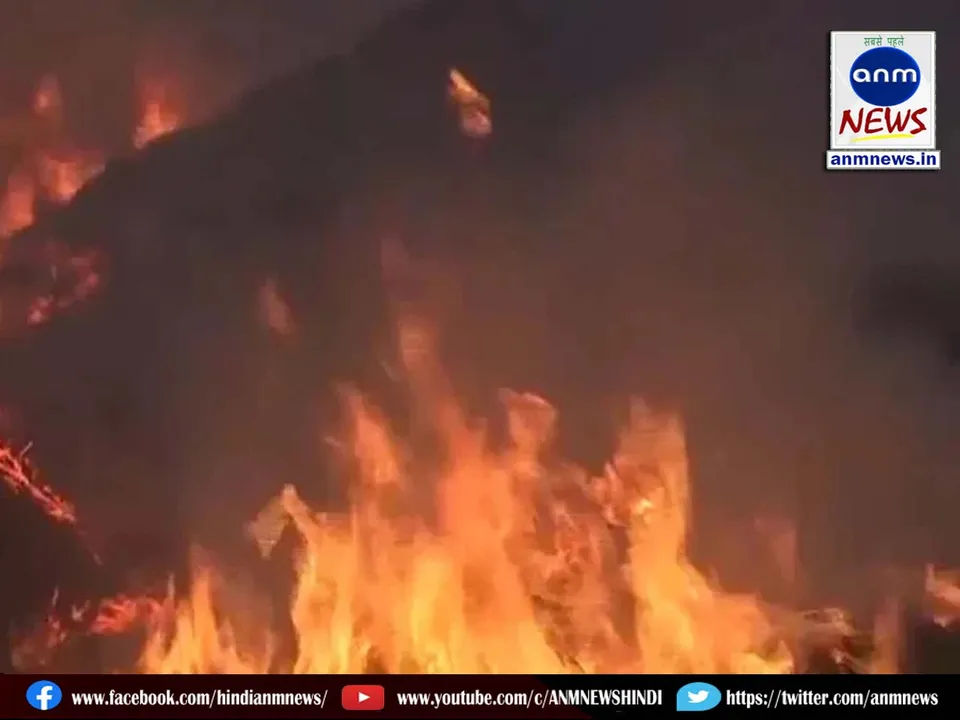 forest fire